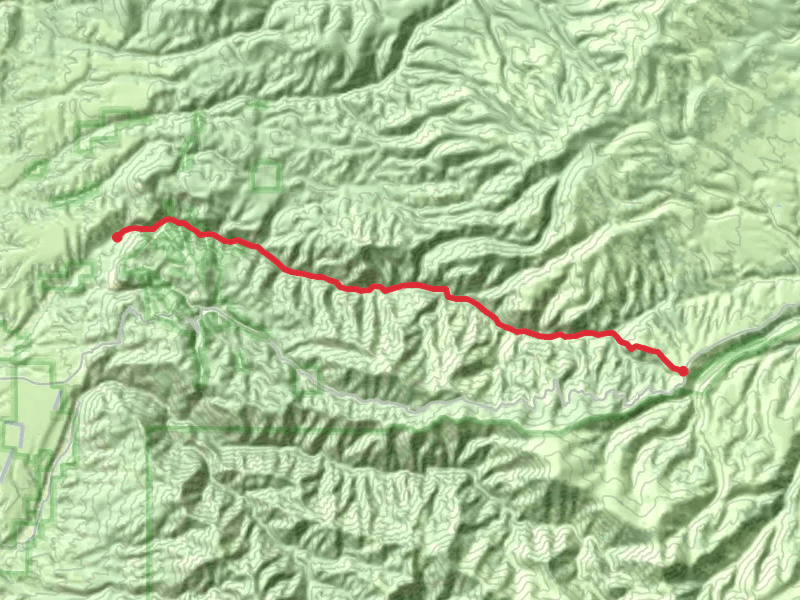 Cooney Canyon - Mineral Creek Trail