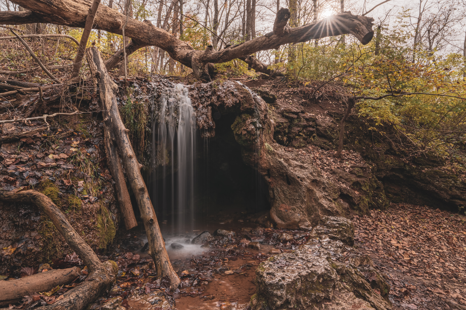 An image depicting the trail Grotto Falls and The cascades Loop and its surrounding area.