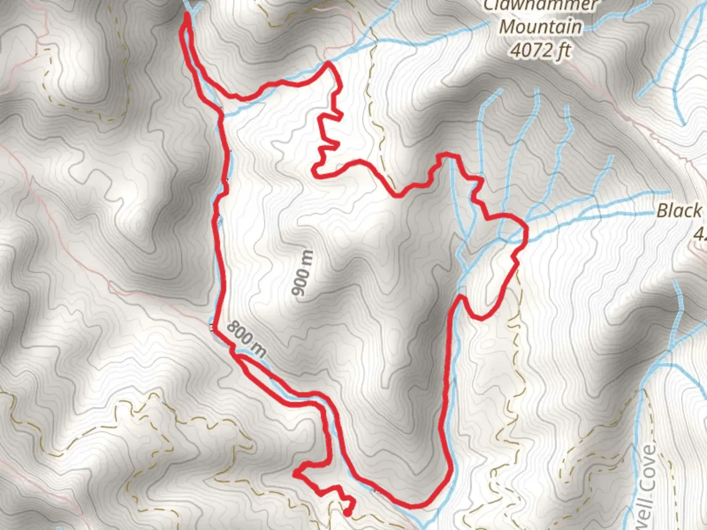An image depicting the trail Buckhorn Gap, Clawhammer Cove and Avery Creek Loop and its surrounding area.