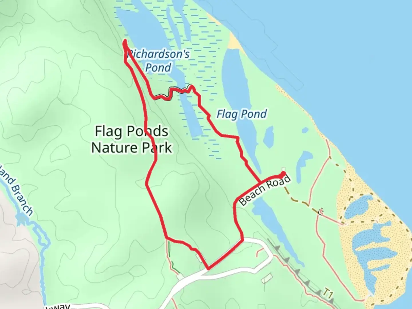 An image depicting the trail Flag Pond - North Ridge Loop Trail and its surrounding area.