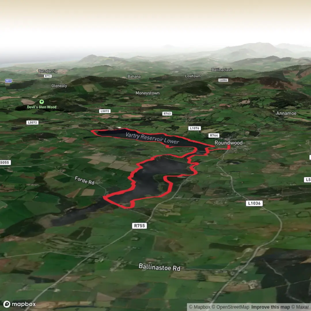 An image depicting the trail Vartry reservoirs and its surrounding area.
