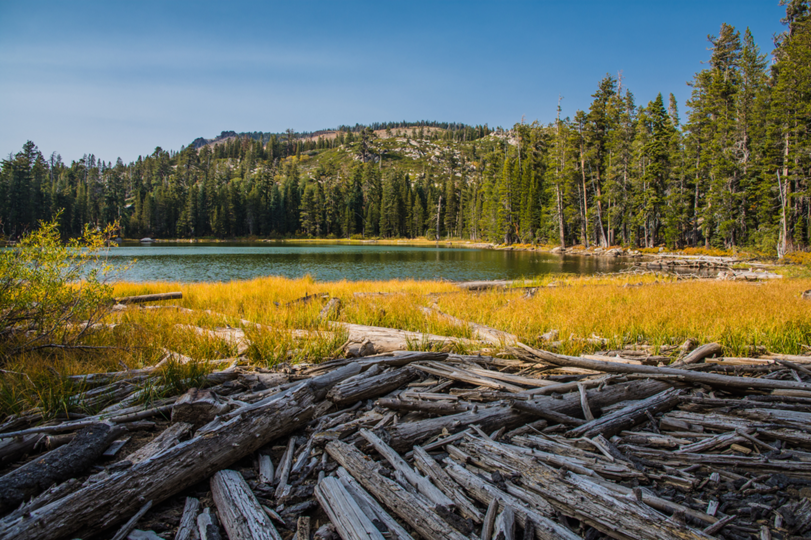 An image depicting the trail Summit Lake Trail and its surrounding area.