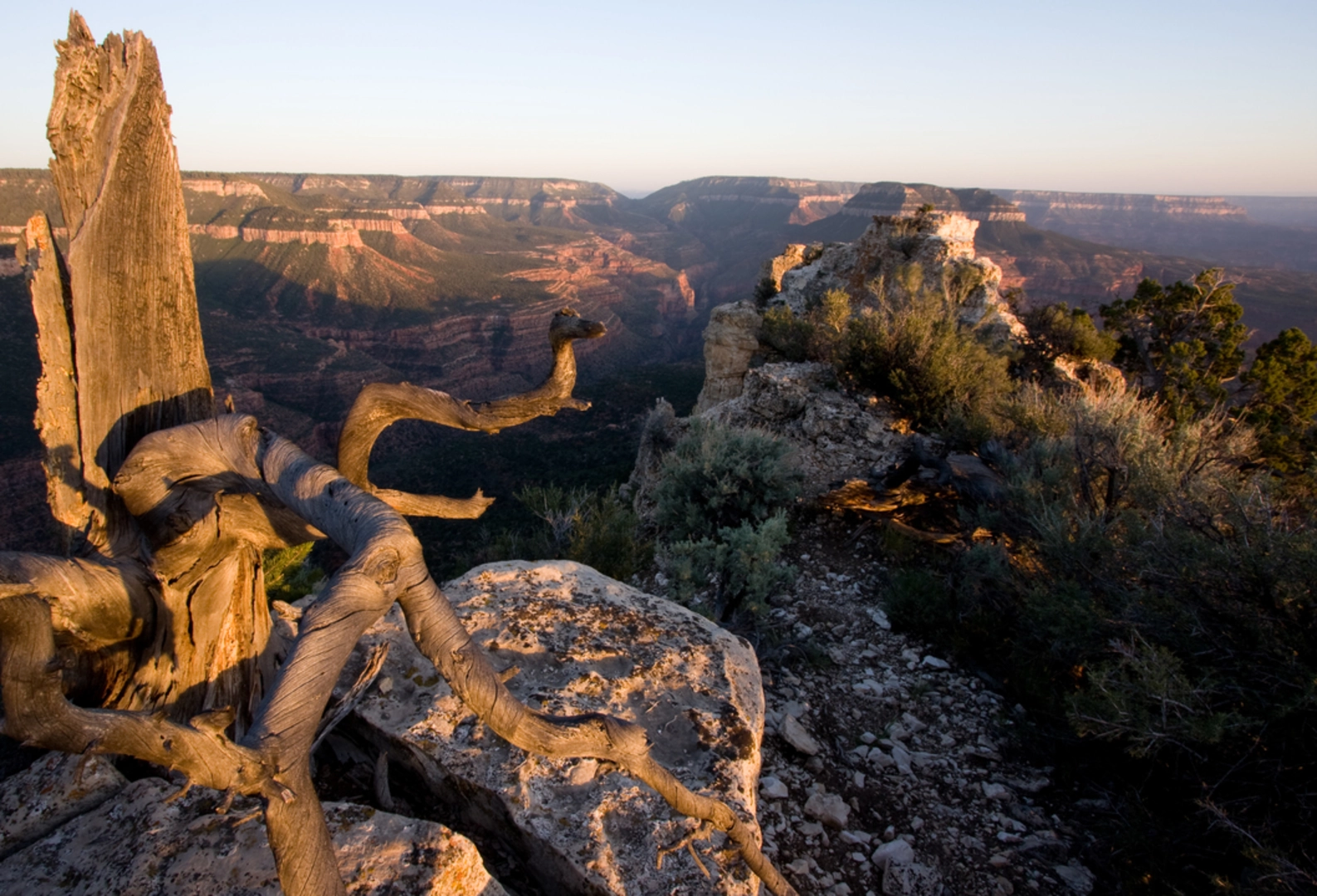 An image depicting the trail Jumpup - Nail Trail and its surrounding area.