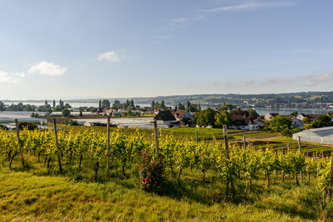 Mannenbach to Siegershausen Trail