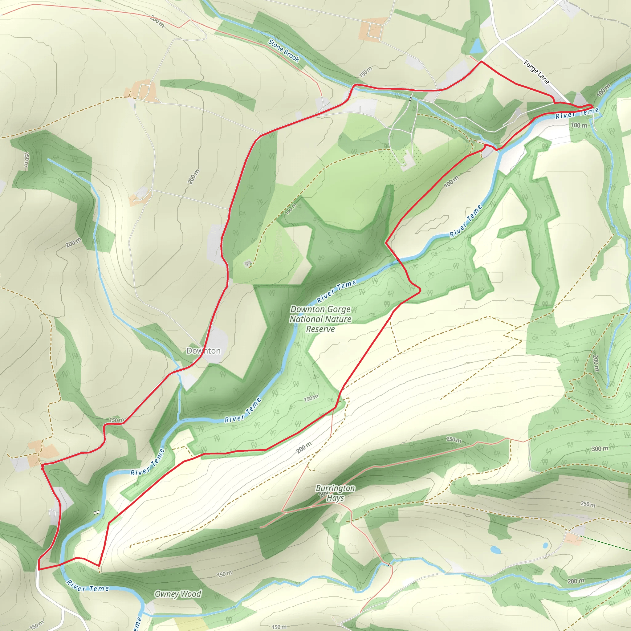 Downton Gorge Loop mobile static map