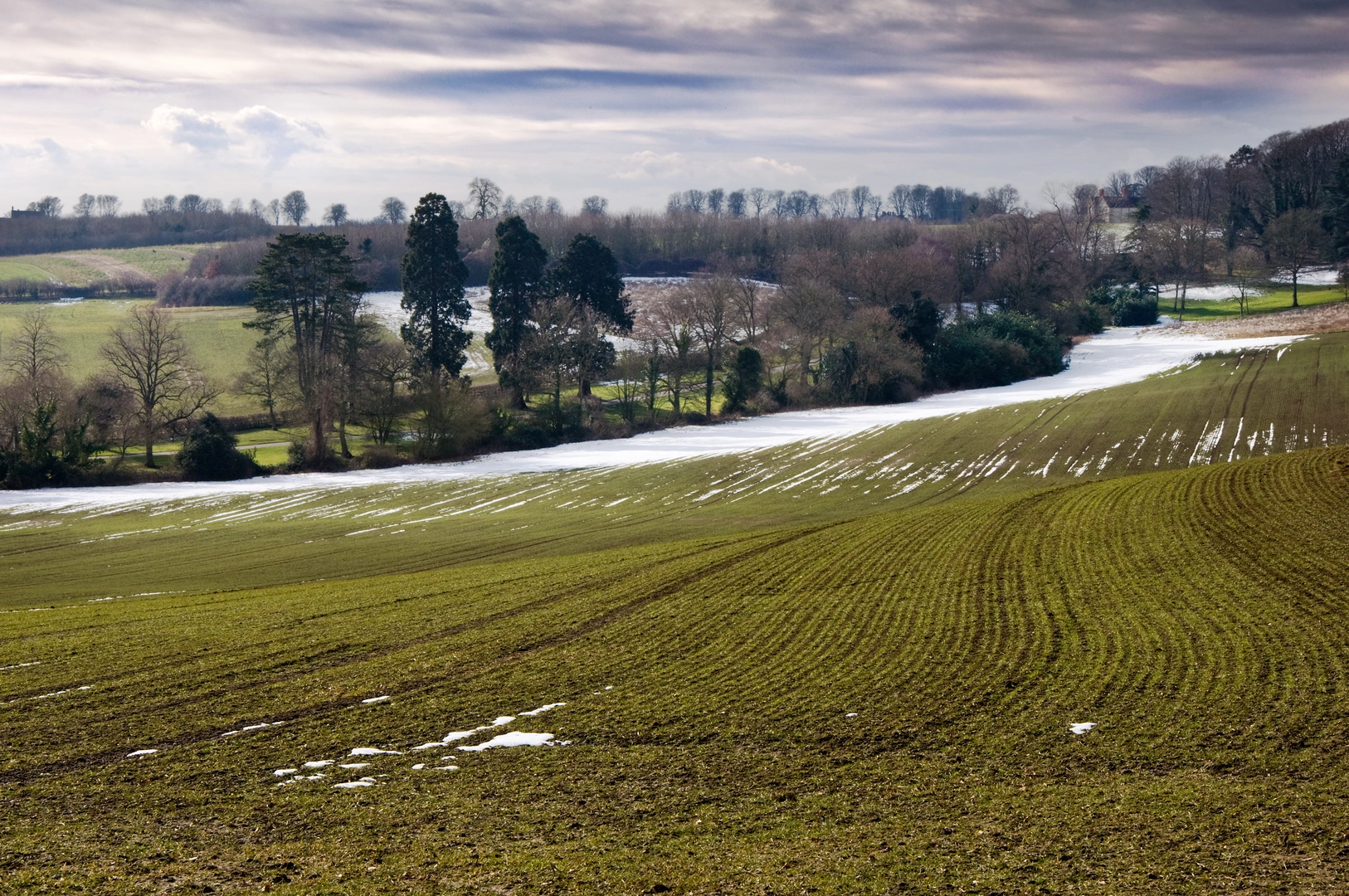 An image depicting the trail Aylesbury Ring and its surrounding area.