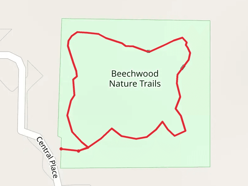 Beechwood Nature Loop Trail
