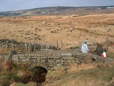 Kitson Wood and Bride Stones Moor Loop