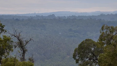 Camel Farm to Hewetts Hill - Bibbulmun Track