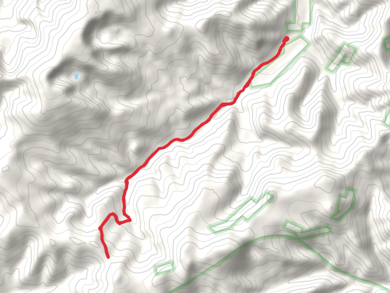 Dry Wolf Trail
