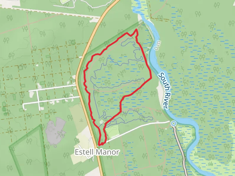 Logman Loop Trail from Artesian Well Road