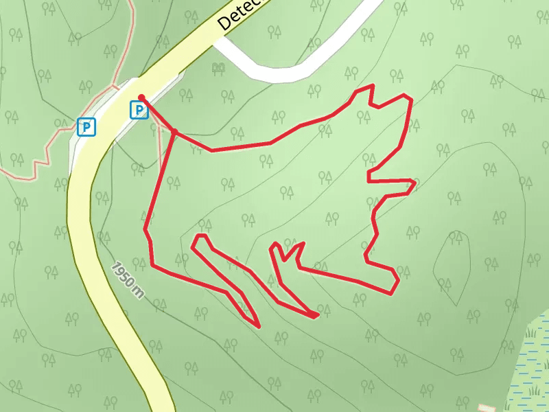 Whispering Pines Trail