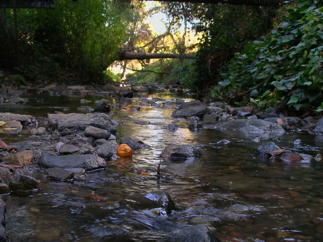 Sausal Creek - Old Cañon Loop Trail