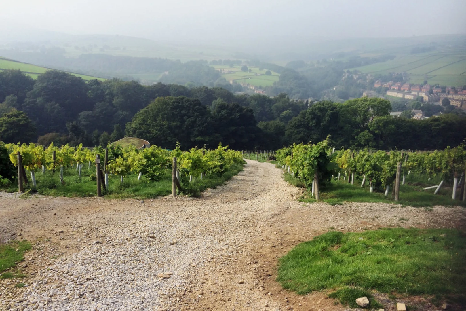 An image depicting the trail Holme Valley Loop from Holmfirth and its surrounding area.