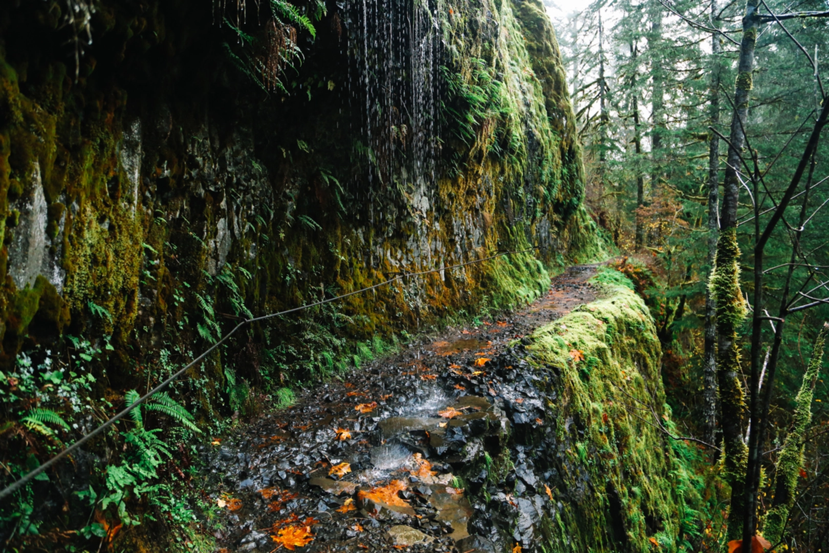 An image depicting the trail Wahtum Lake and Eagle Creek Trail and its surrounding area.