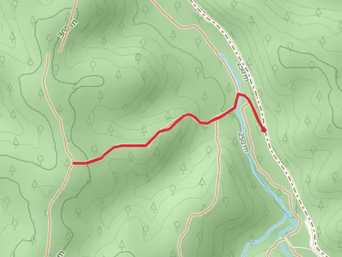 Mushroom Trail