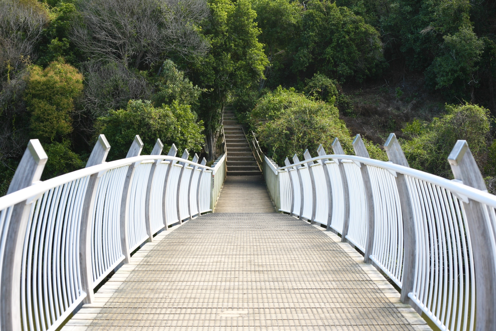 An image depicting the trail Orakei Basin Walkway and its surrounding area.