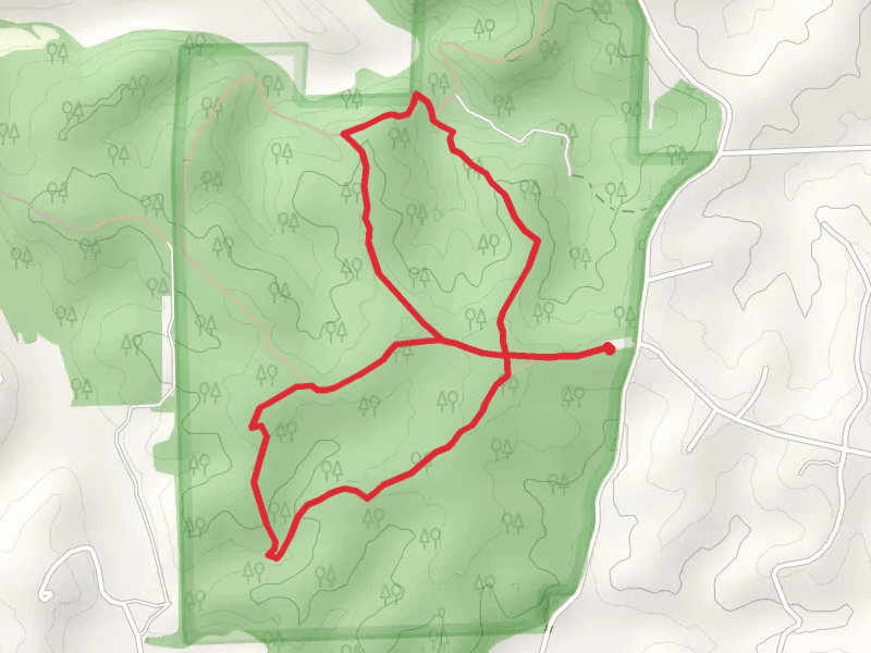 Red Trail and Green Trail Loop from Ridge Road
