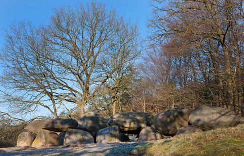 Achter Het Hout and Alteveerse Bossen Loop