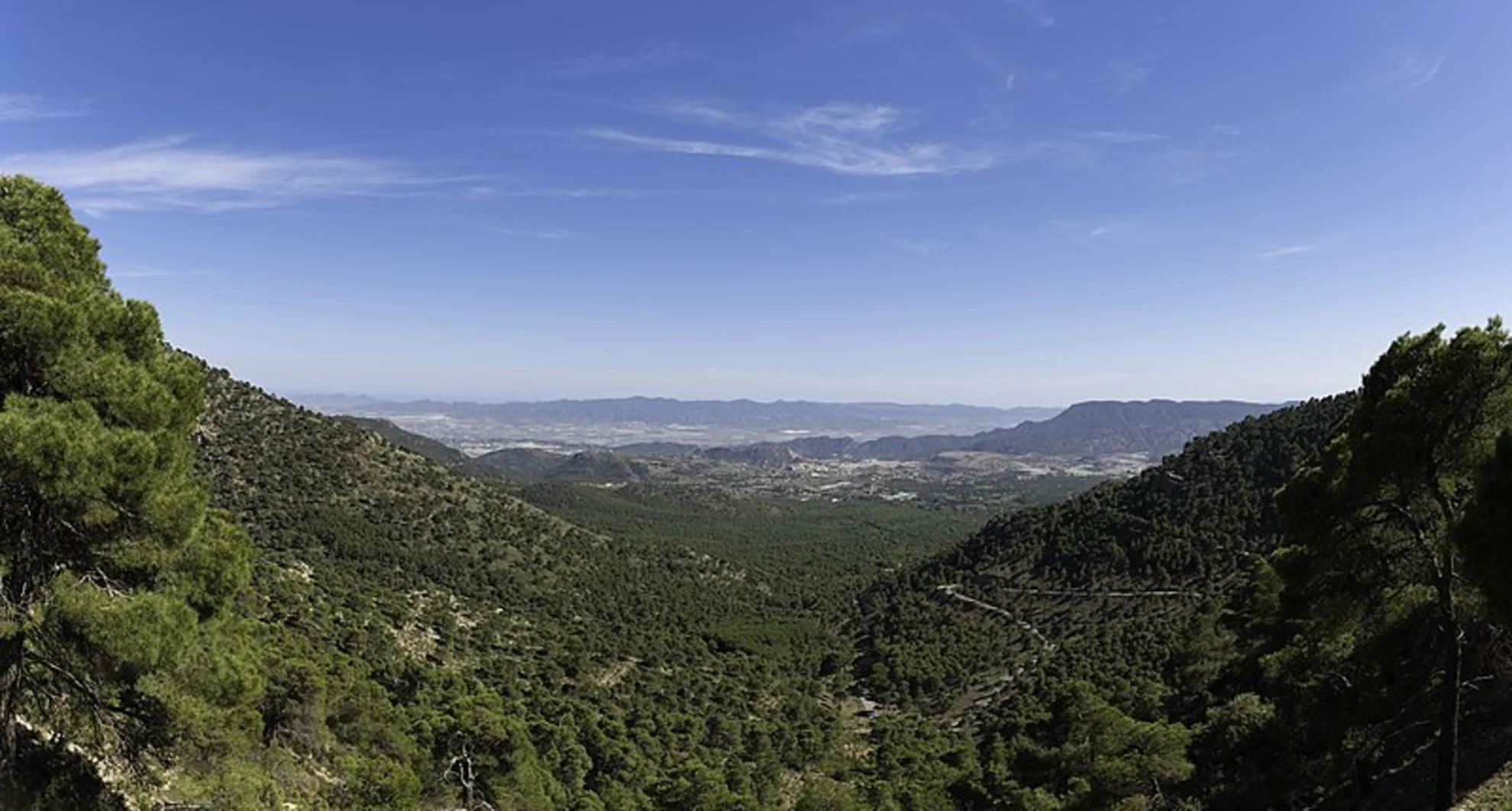 An image depicting the trail Path of the Umbria of Peña Apartada - Espuña PR MU 59 and its surrounding area.