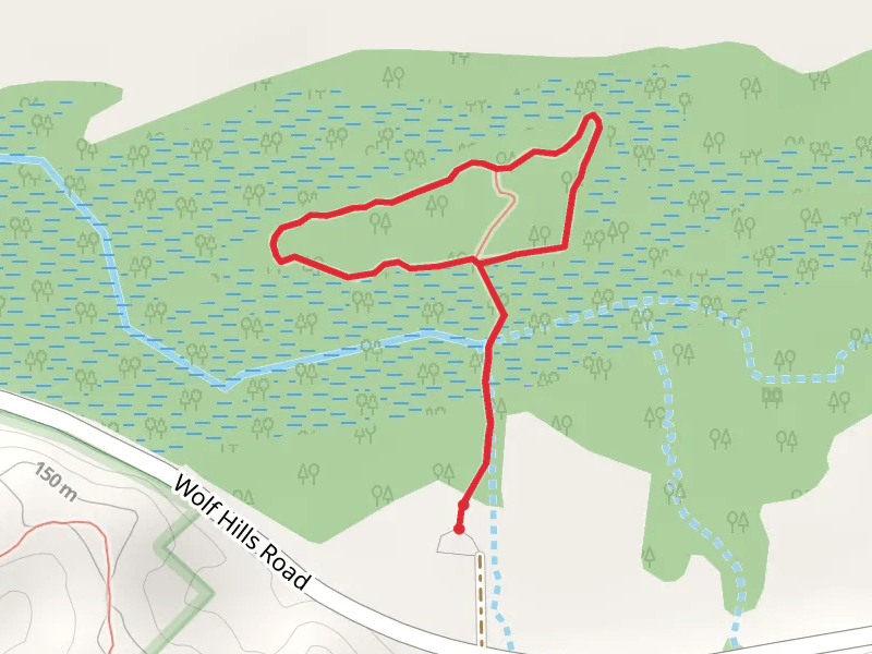 Audubon Wetlands Loop Trail