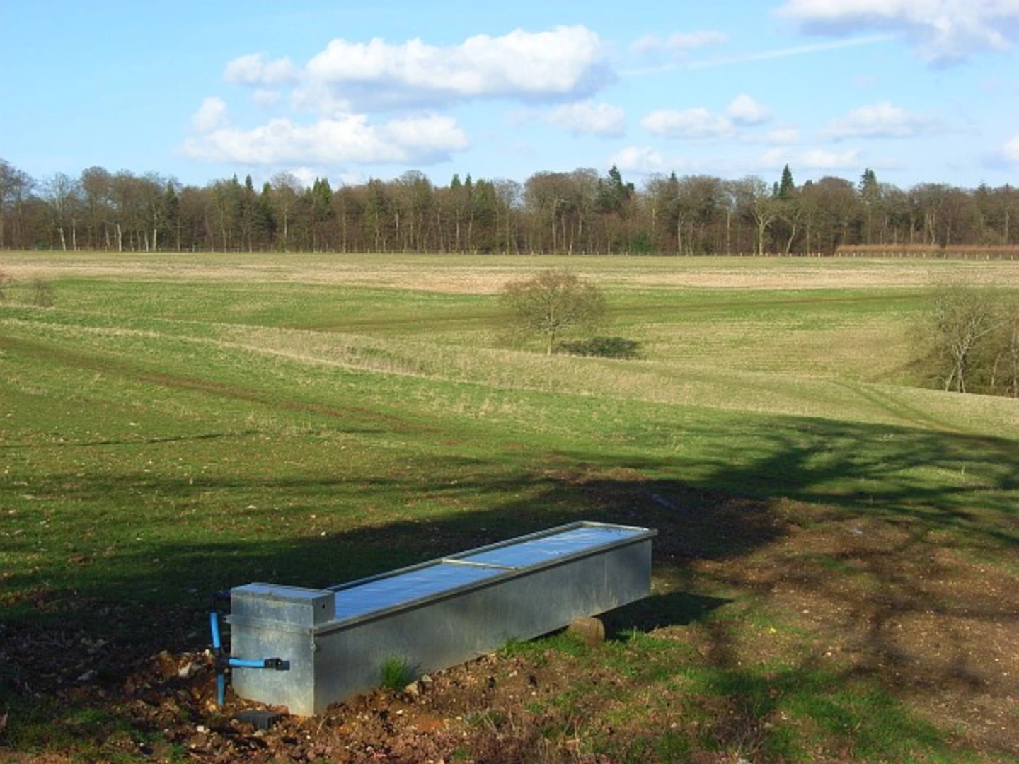 An image depicting the trail Maidensgrove and Greenfield Wood Loop and its surrounding area.