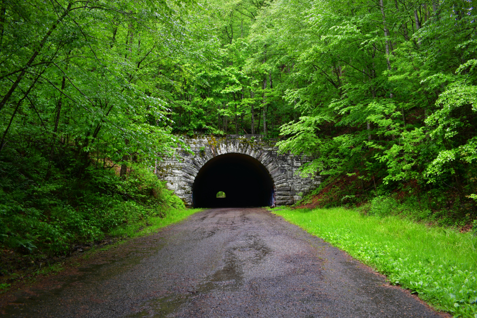 An image depicting the trail Lakeshore and Tunnel Bypass Loop Trail and its surrounding area.