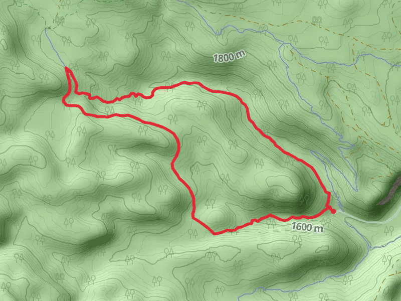 North Fork and Swampy Lakes Loop Trail