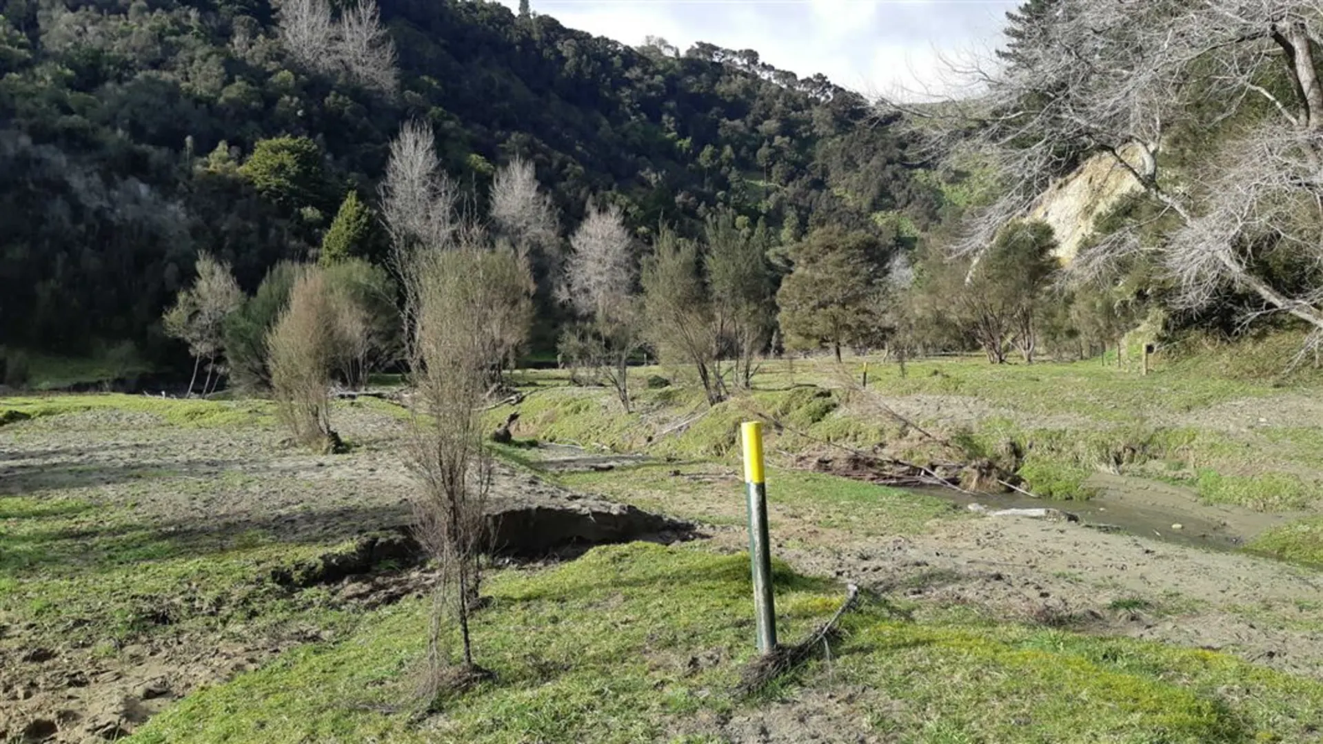 An image depicting the trail Beehive Creek Walkway and its surrounding area.