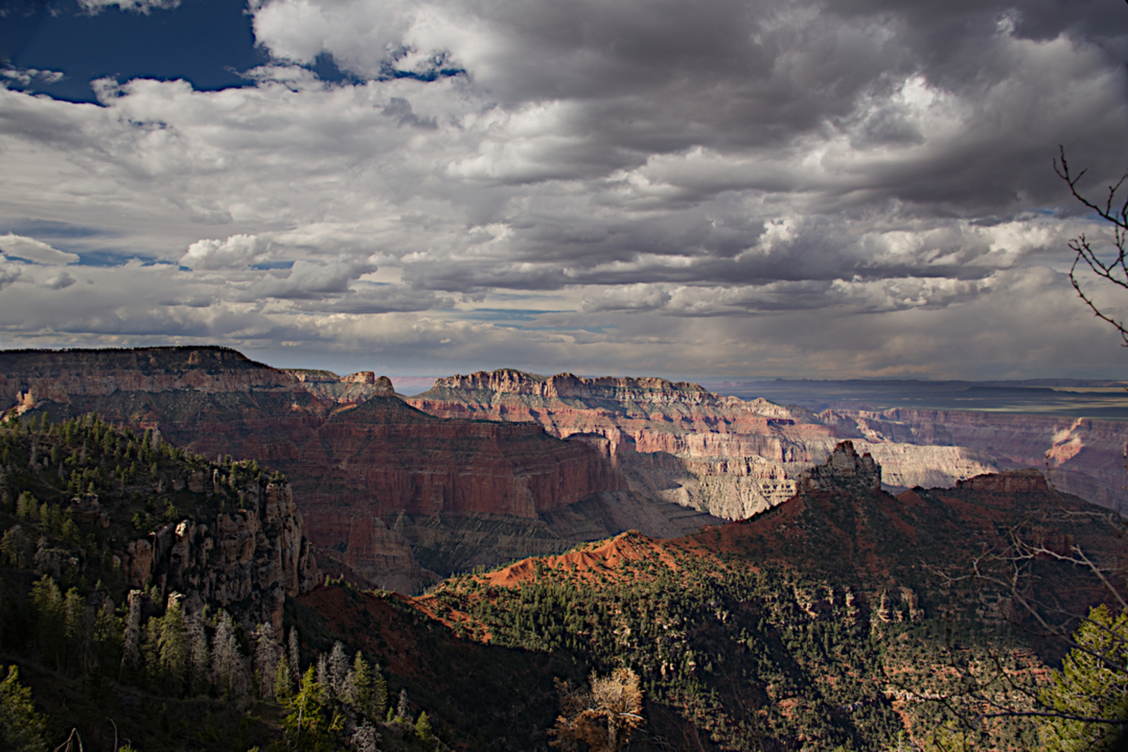 An image depicting the trail Ariel Point Trail via Komo Point Trail and its surrounding area.