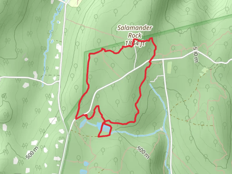 Skink, Whiskey Springs Pond and Salamander Loop Trail