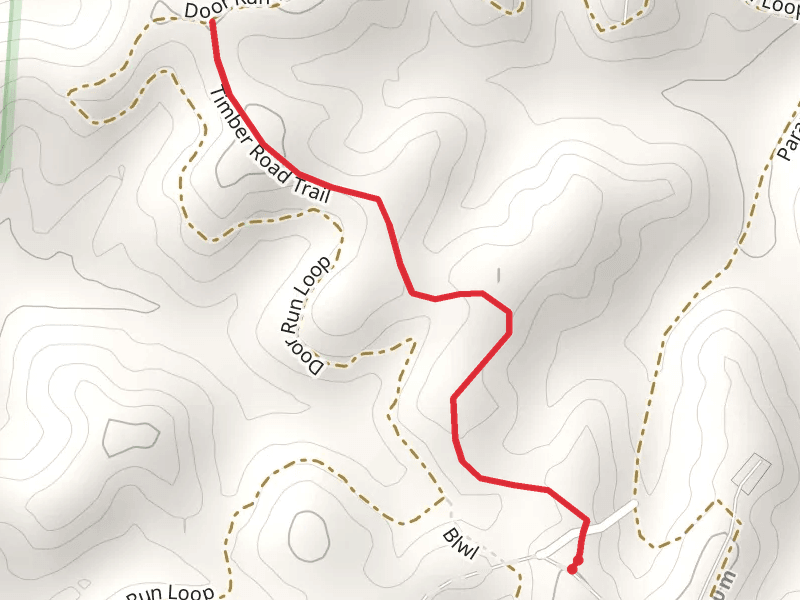 Dorr Run - Timber Road Trail