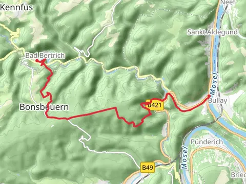 Alf to Bad Bertrich via Mosel-Our Weg