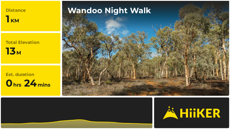 Wandoo Night Walk | Shire Of Cuballing | Western Australia