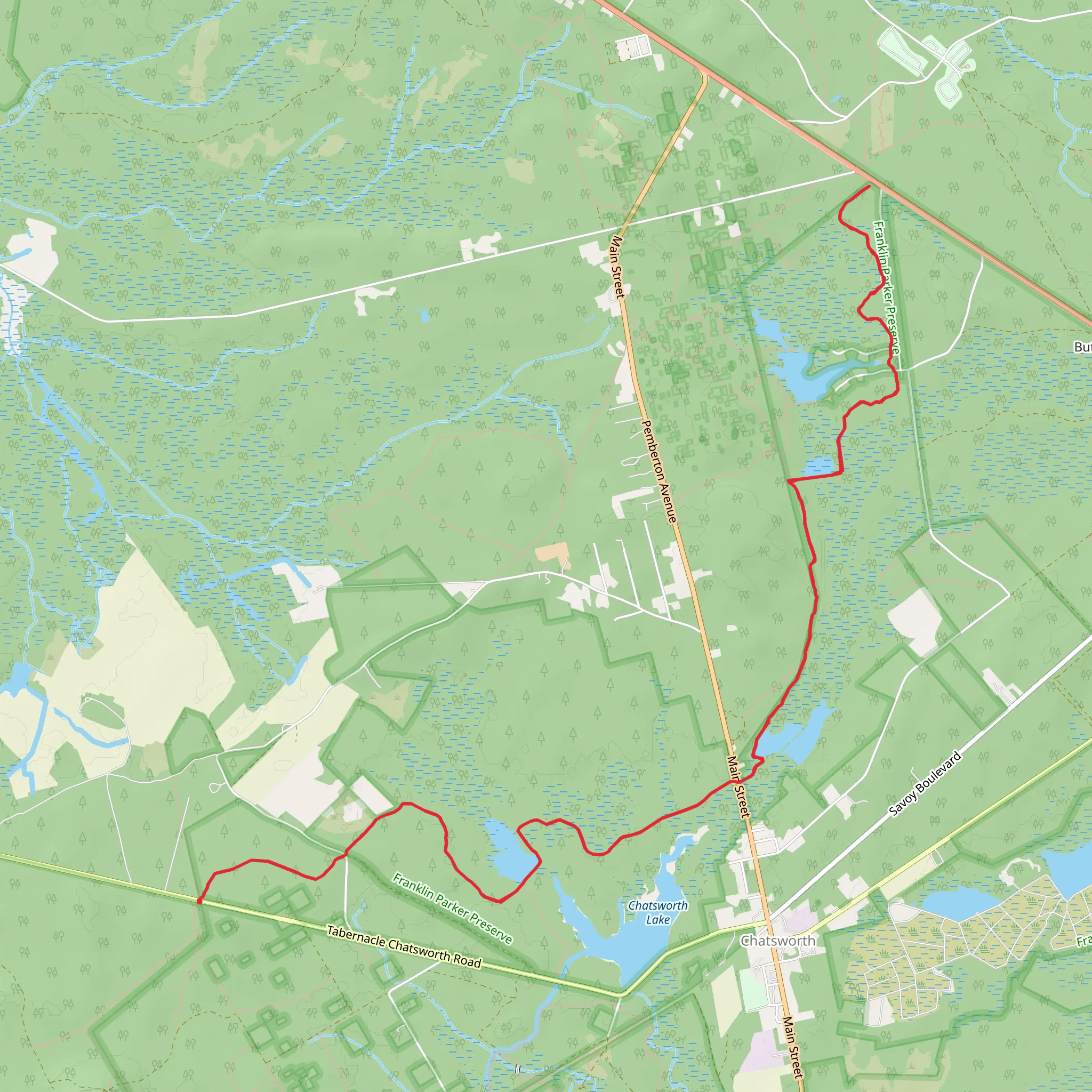 Batona Trail Out and Back mobile static map