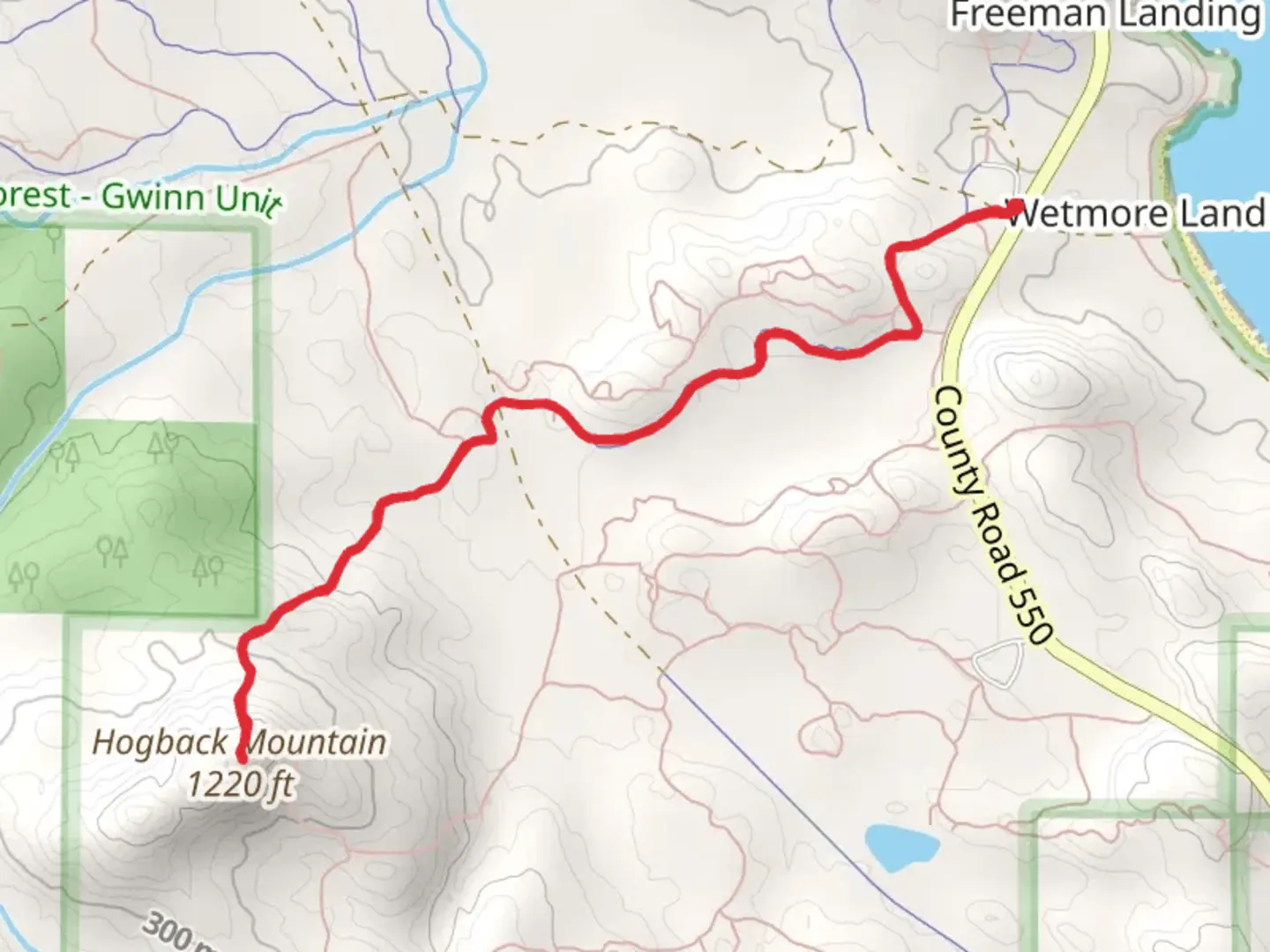 An image depicting the trail Hogback Mountain via Hogback North and its surrounding area.