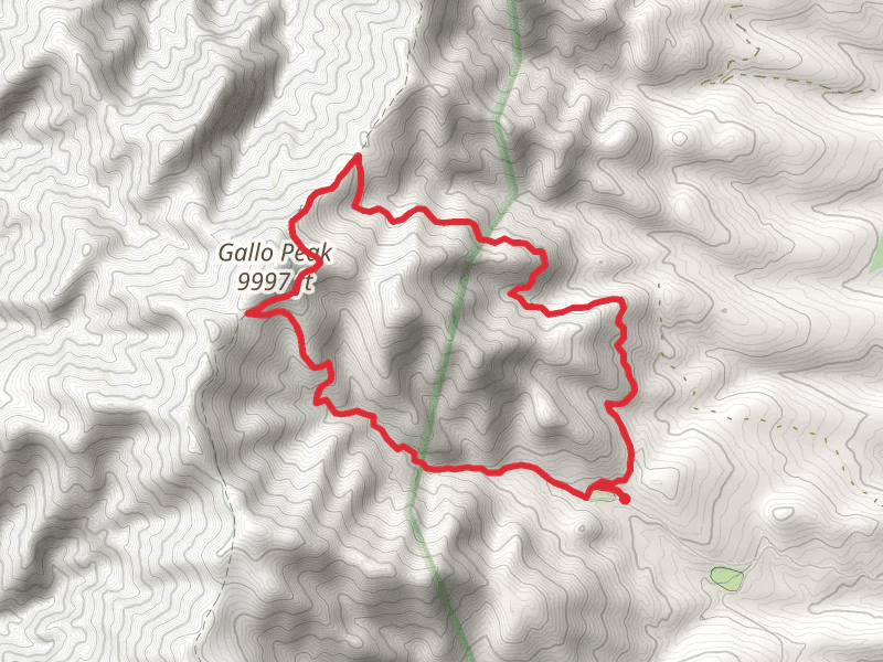 Spruce Spring and Red Canyon Loop Trail
