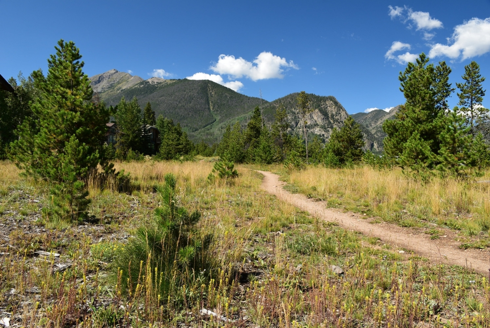 An image depicting the trail Rocky Ridge Trail and its surrounding area.