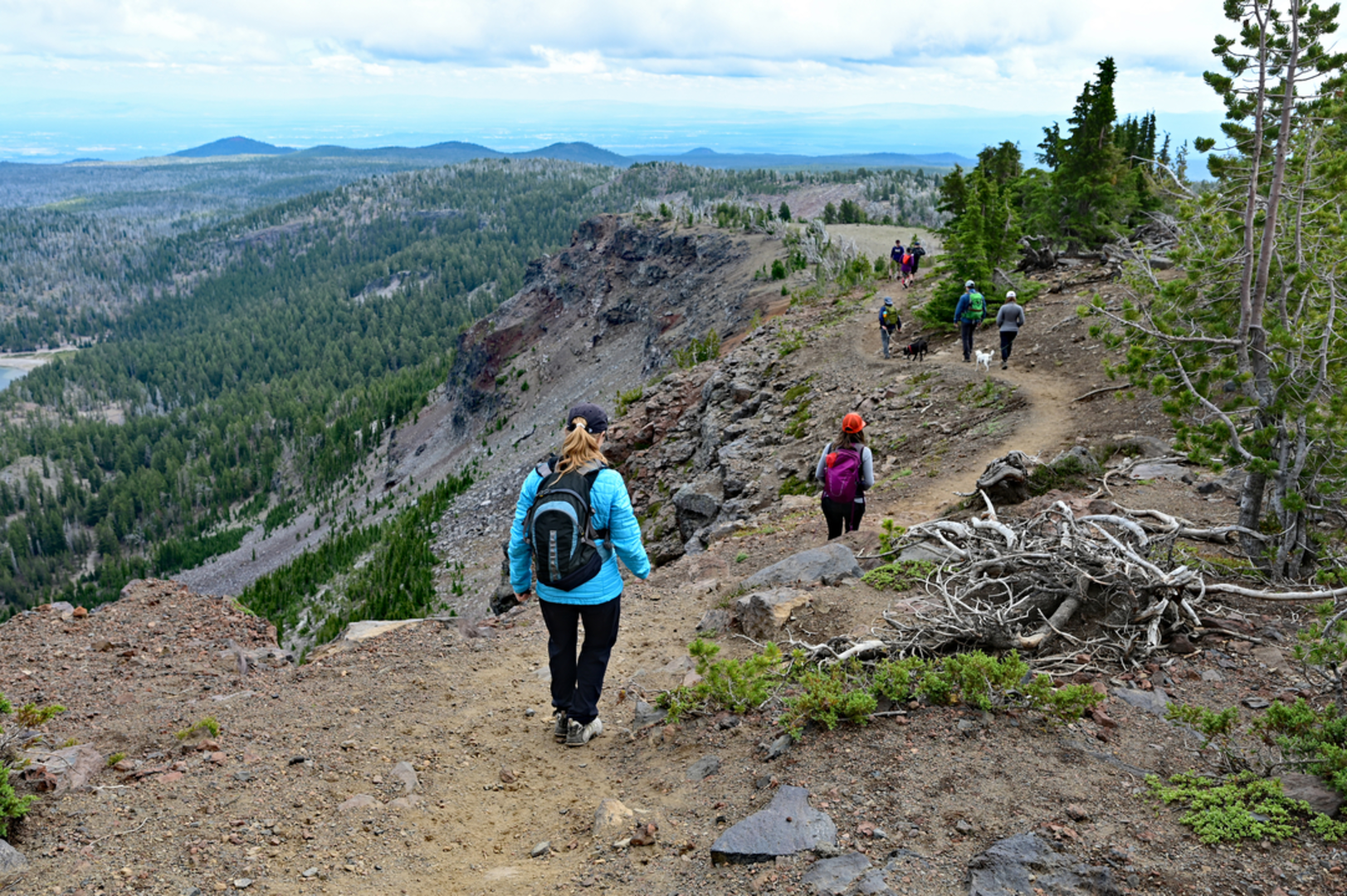 An image depicting the trail Tam Mcarthur Rim Trail and its surrounding area.