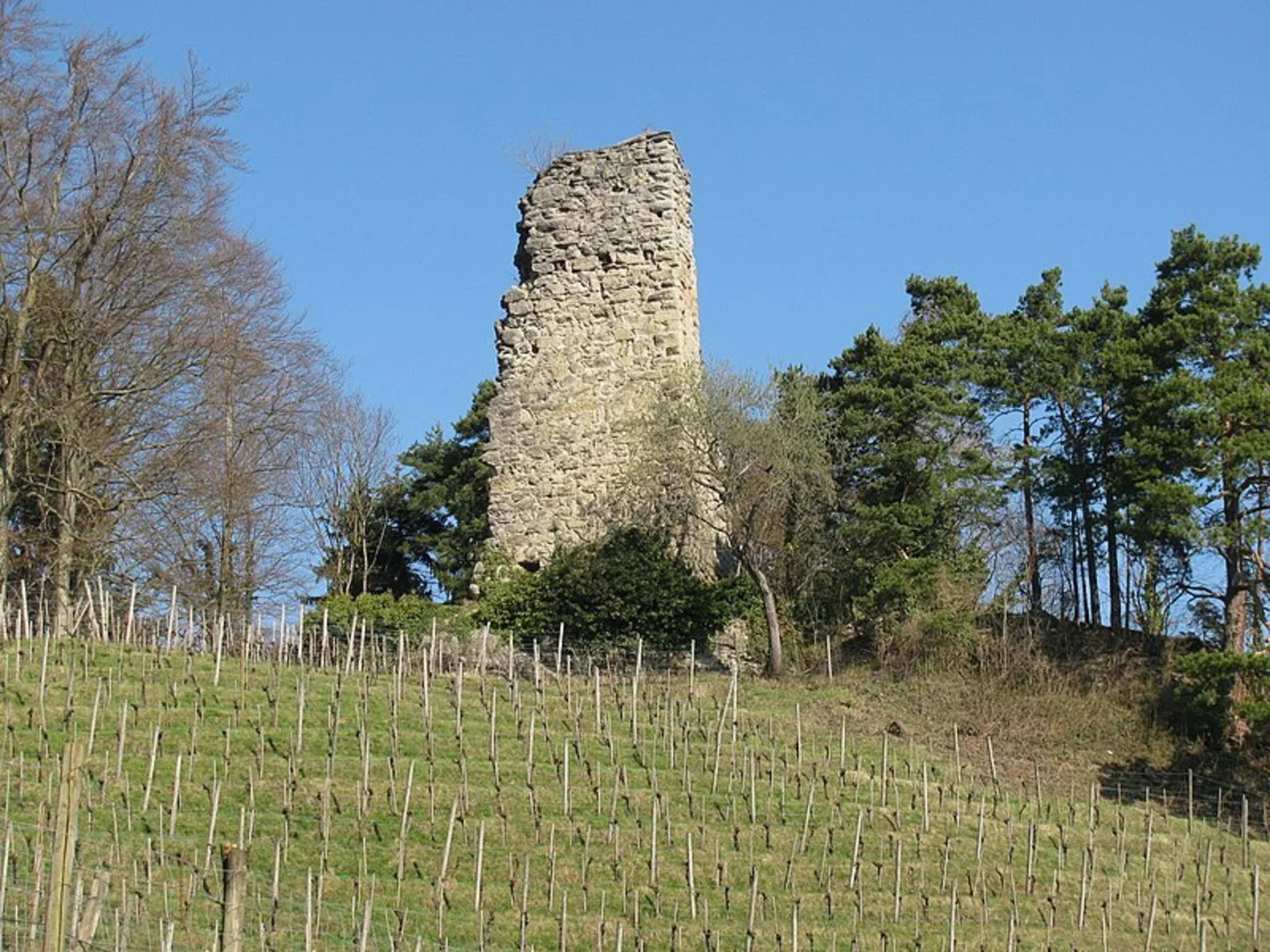 An image depicting the trail Walzenhausen to Grimmenstein Castle Loop Trail and its surrounding area.