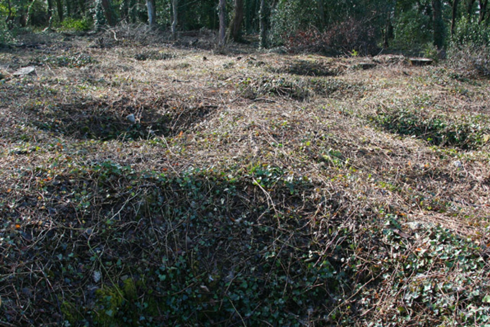An image depicting the trail Worlebury Hill Walk and its surrounding area.