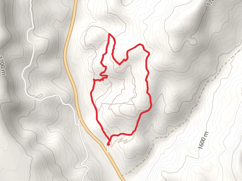 Flying V Trail