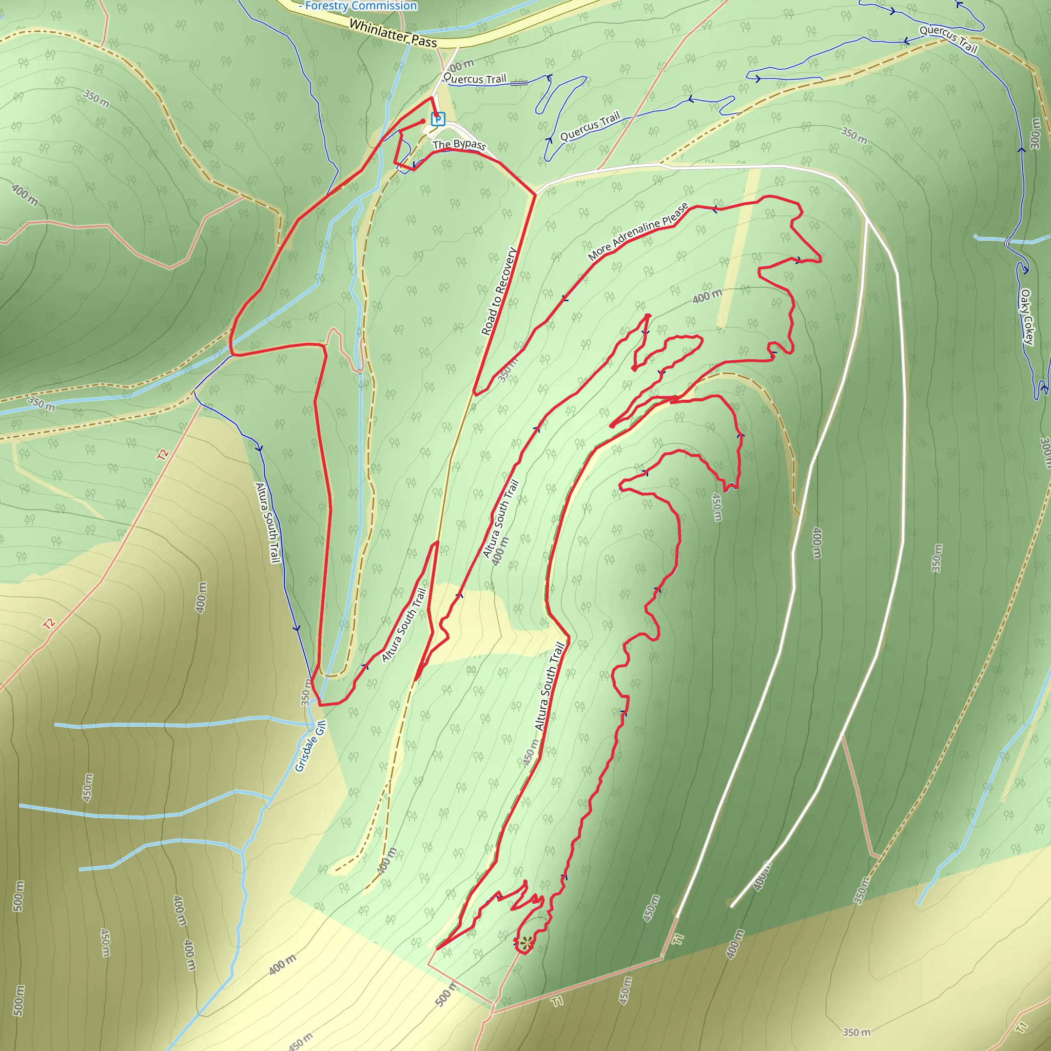 Revelin Mass Loop mobile static map