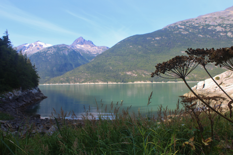 Smuggler's Cove Trail