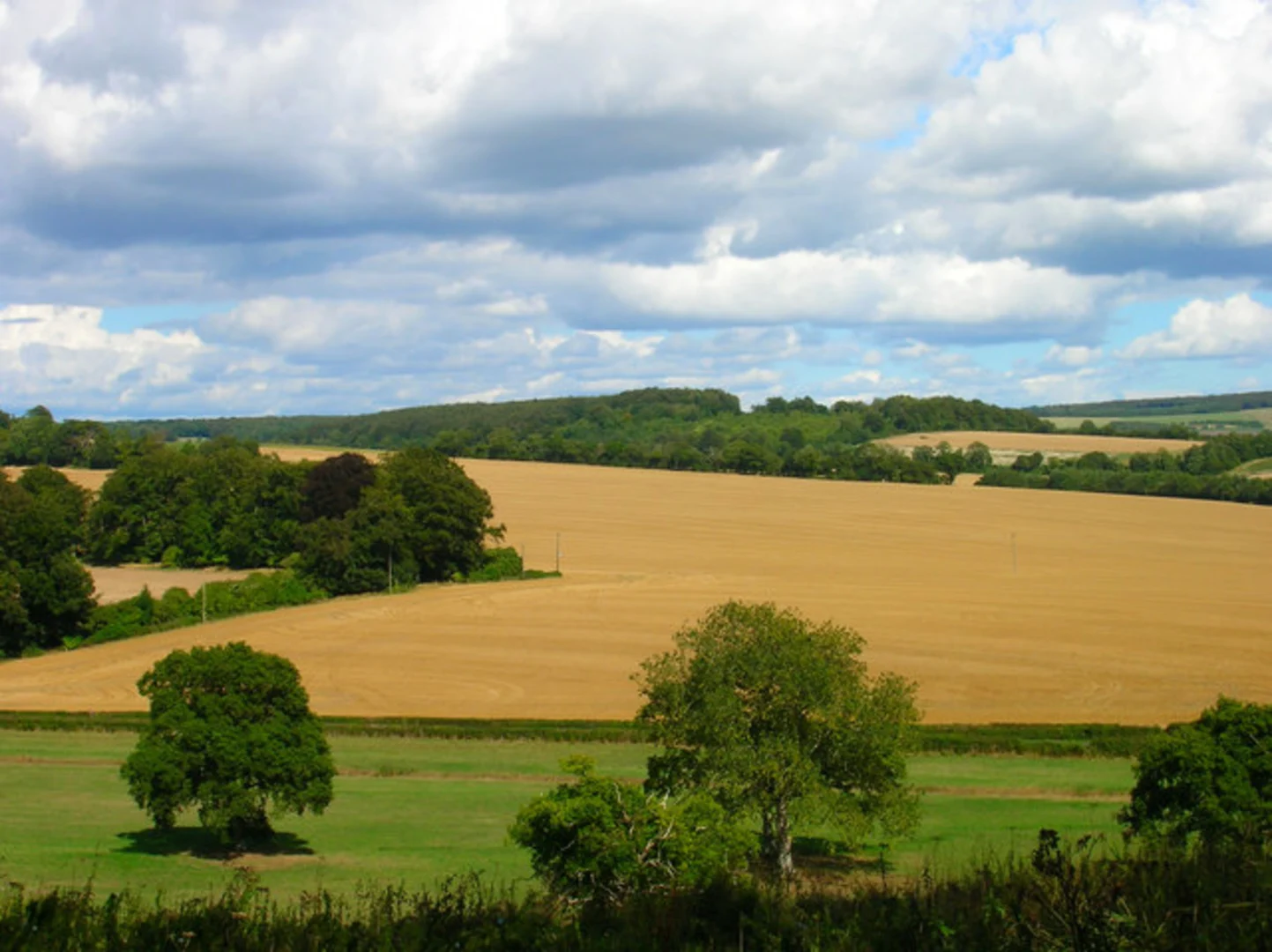 An image depicting the trail Lordington Loop and its surrounding area.