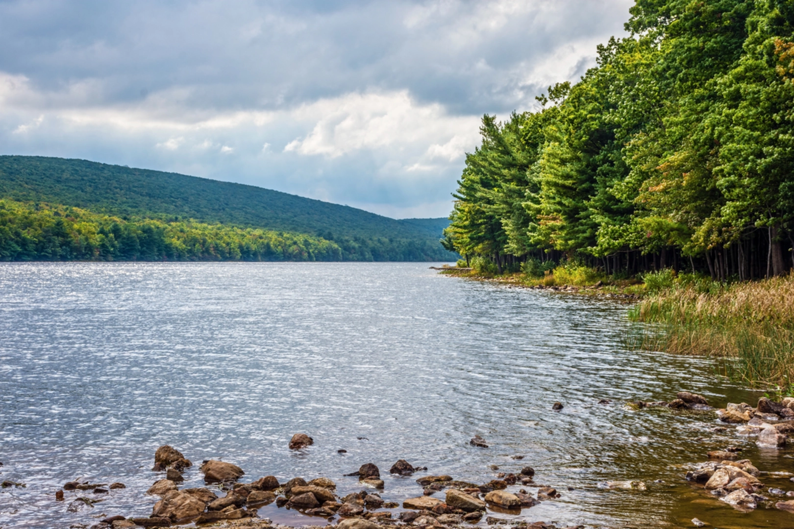 An image depicting the trail Mauch Chunk Lake and Creek Loop and its surrounding area.