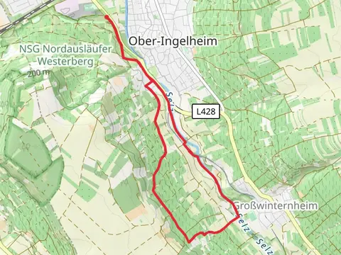Hiwweltour Westerberg Loop