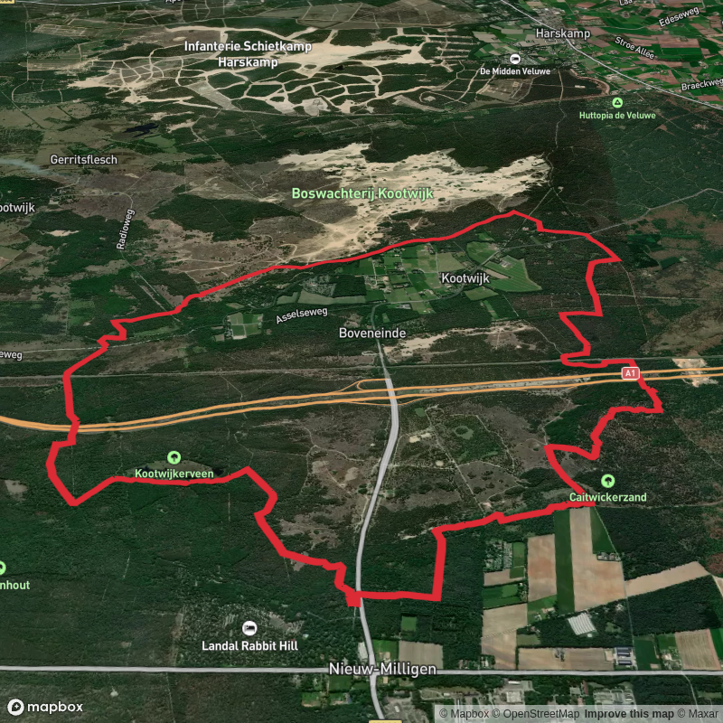 Kootwijkerveen, Zanderdennen and Maanschoten Loop