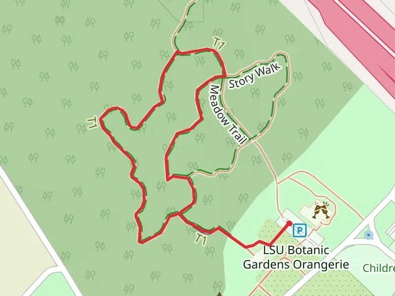Learning Tree Loop Trail