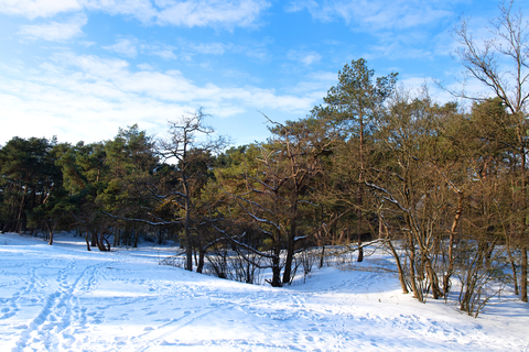 Heidestukken, De Wingwam and Wapserzand Loop